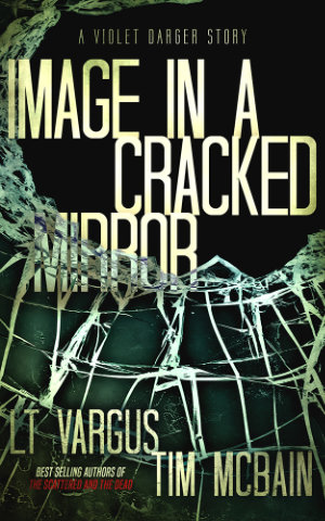 Image in a Cracked Mirror book cover