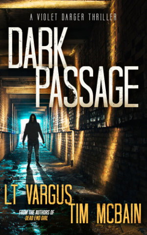 Dark Passage book cover