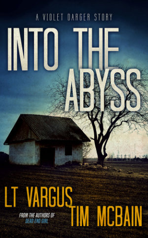 Into the Abyss book cover