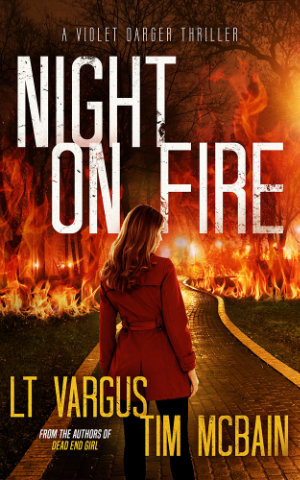 Night on Fire book cover