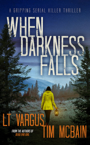 When Darkness Falls book cover